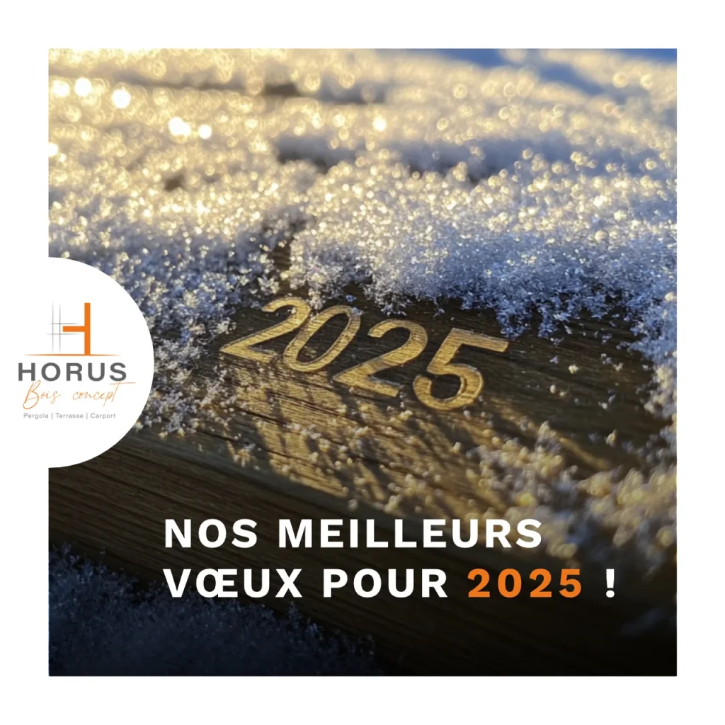 Bonne annee 2025 bandeau
